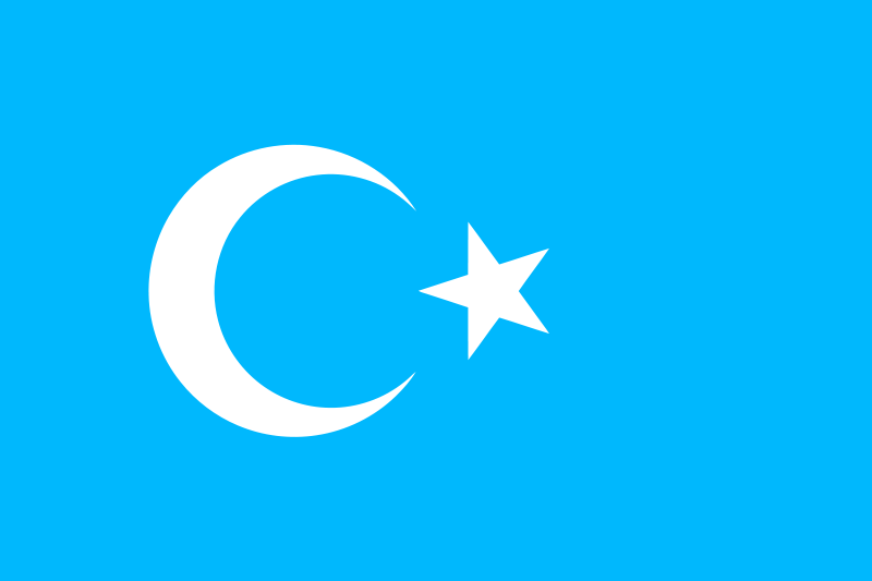 D-Turkistan-bayragi